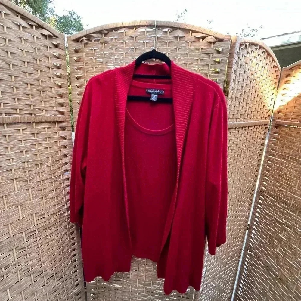 Designers Orginals Sweater Set - 2X
